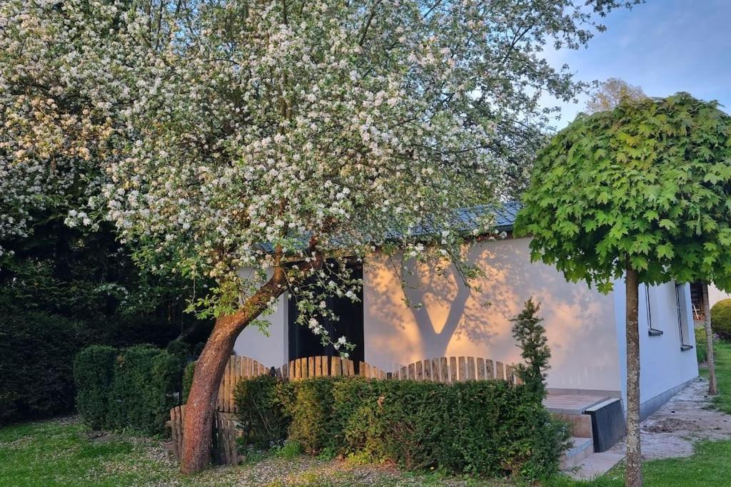 Pod Jablonia