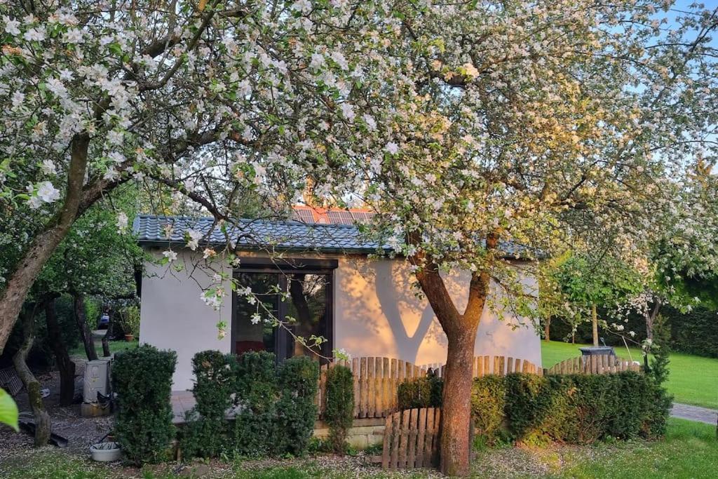 Pod Jablonia Holiday home *