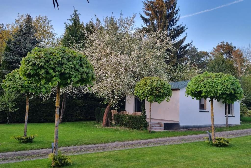 Pod Jablonia * Bydgoszcz